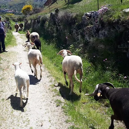 Family - Quinta Do Mirante * קסטלו דה פייבה