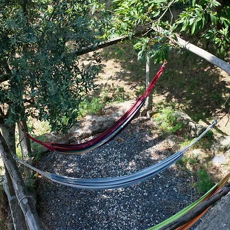 Family - Quinta Do Mirante Διαμέρισμα Castelo de Paiva