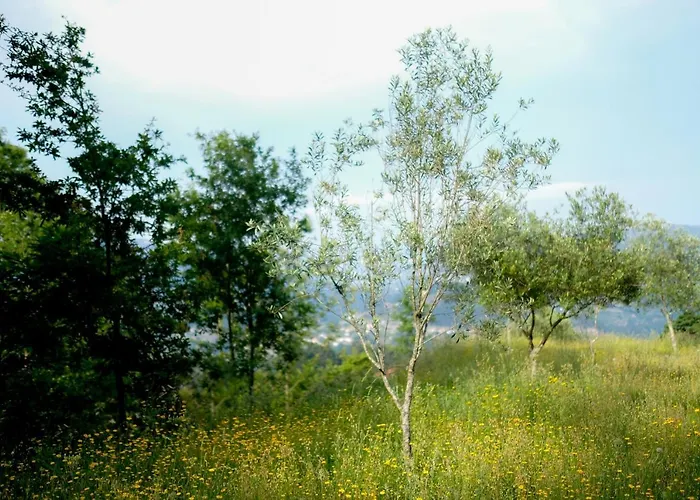 Family - Quinta Do Mirante 카스텔루 지 파이바