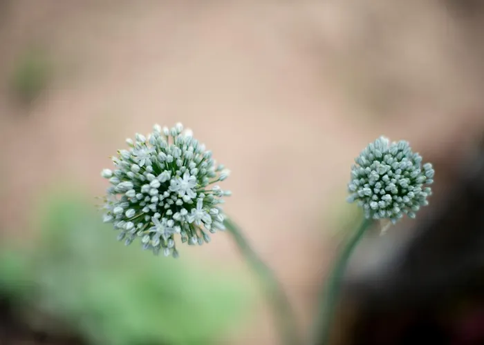 Family - Quinta Do Mirante *