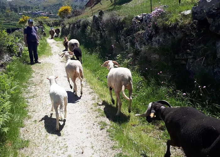 Family - Quinta Do Mirante * Castelo de Paiva